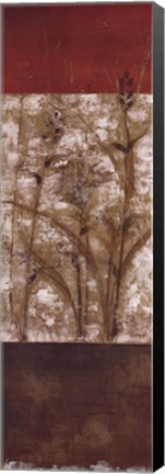 Framed Fresco II - CS Print