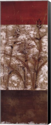 Framed Fresco II - mini - CS Print