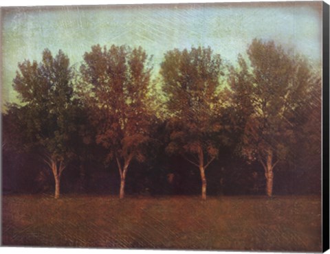 Framed Nature's Bliss I Print