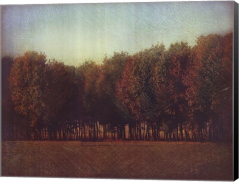 Framed Nature's Bliss II Print
