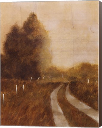 Framed Traveled Path II Print