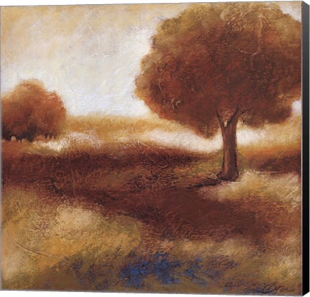 Framed Timeless Light II Print