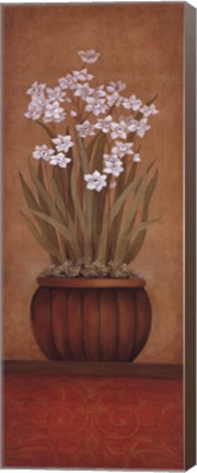 Framed Paperwhites I - mini Print
