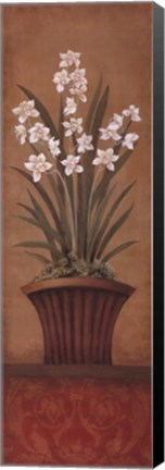 Framed Paperwhites II Print
