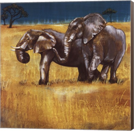Framed On the Plains IV Print