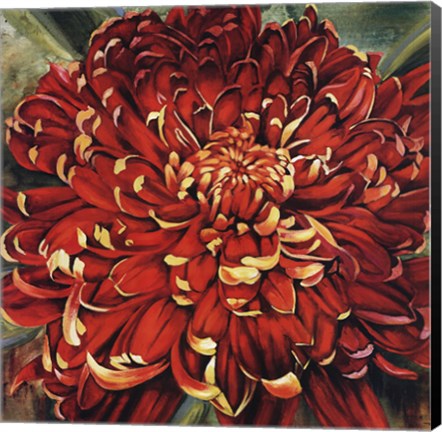 Framed Chrysanthemum Print