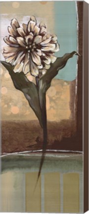 Framed Floral Splendor II Print