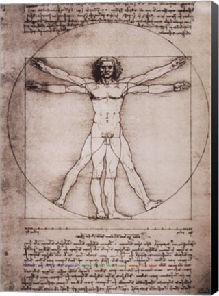 Framed Vitruvian Man, 1492 Print