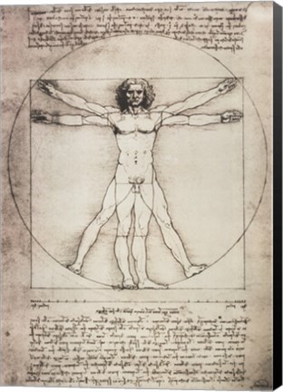 Framed Vitruvian Man, 1492 Print