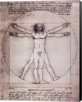 Framed Vitruvian Man, 1492 Print