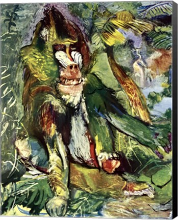 Framed Mandrill Print