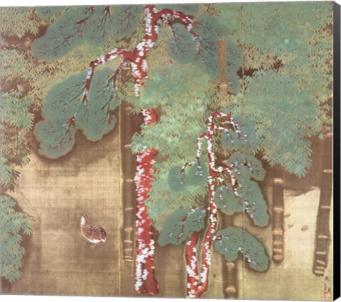 Framed Pine Trees and a Quail Print