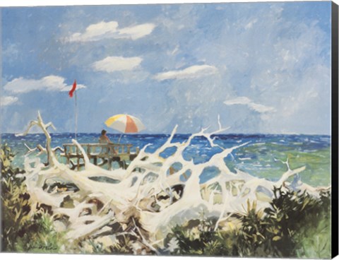 Framed Seacastle Print