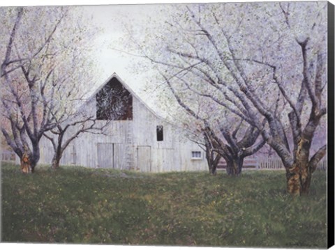 Framed Orchard Blossoms Print