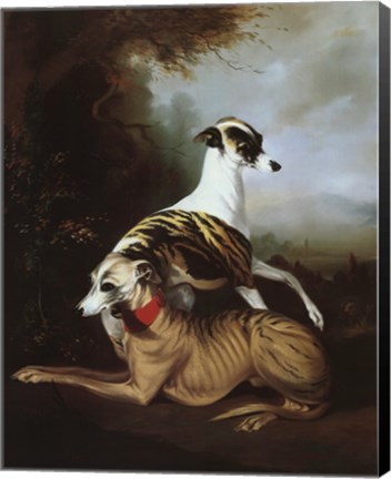 Framed Whippets Print
