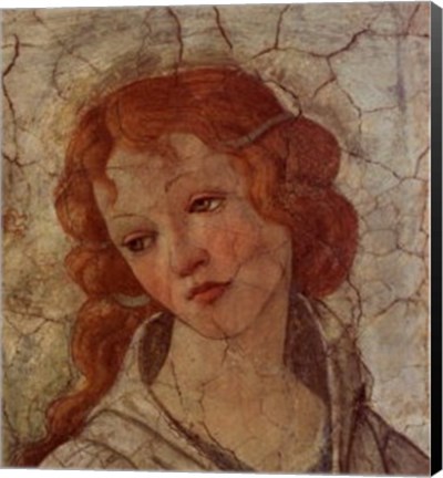 Framed Detail: Venus and the Three Graces II Print