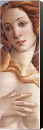 Framed Birth of Venus (detail) Print