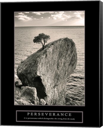 Framed Perseverance - Lone Pinyon Tree Print