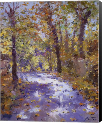 Framed Lumiere D'automne Print