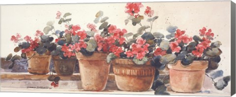 Framed Geraniums Print