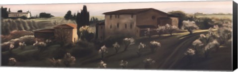 Framed Calcinaia, Tuscany Print