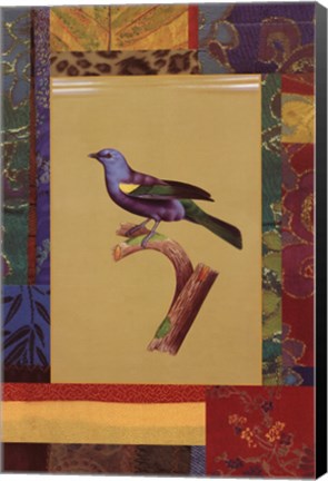 Framed Blue Green Tanager Print