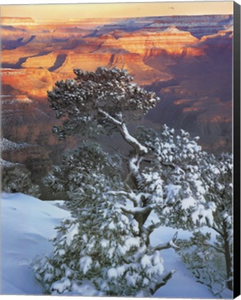 Framed Grand Canyon Sunrise Print