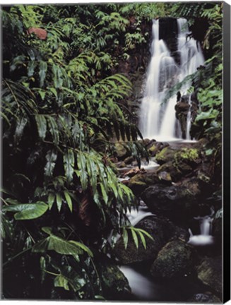 Framed Rainforest Waterfall, Hawaii Print