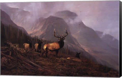 Framed Bookcliffs Elk Print