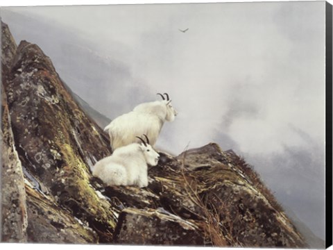 Framed In the Cliffs Print