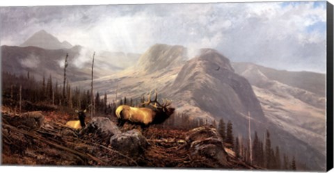 Framed In the Beartooths Print