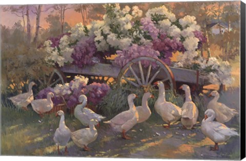 Framed Afternoon Congregation Print