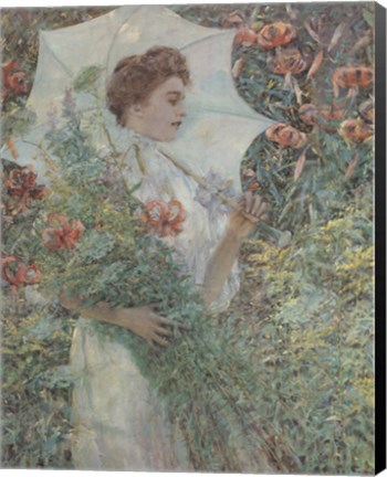 Framed White Parasol Print