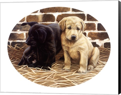 Framed Outsider Print