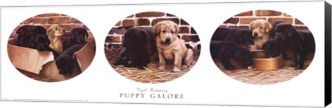 Framed Puppy Galore Print
