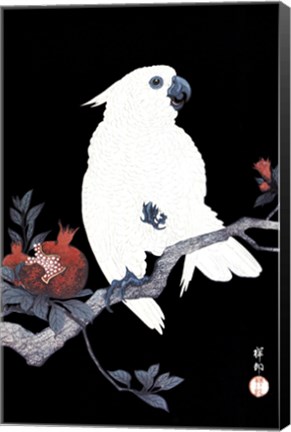 Framed Ukiyo-E Parrot Print