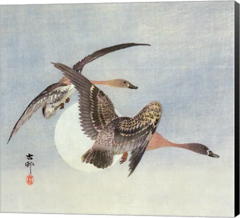 Framed on the Wing Print