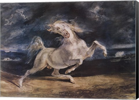 Framed Frightened Horse Print