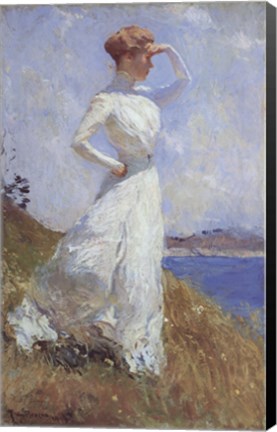 Framed Sunlight Print