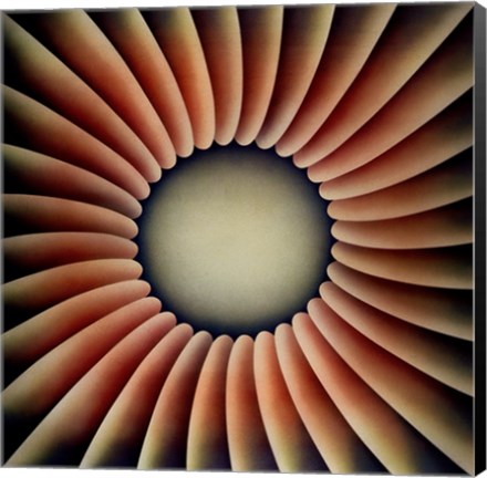 Framed Through the Flower Print