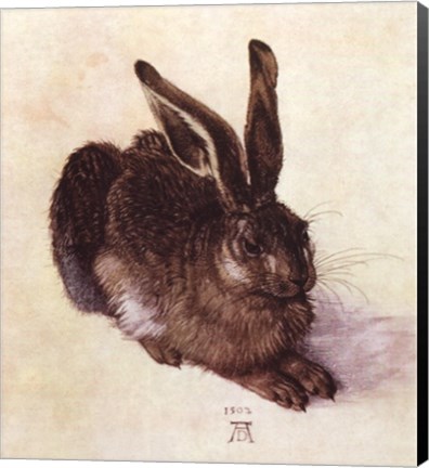 Framed Young Hare Print