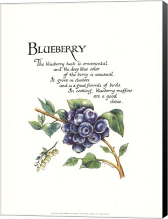 Framed Blueberry Print