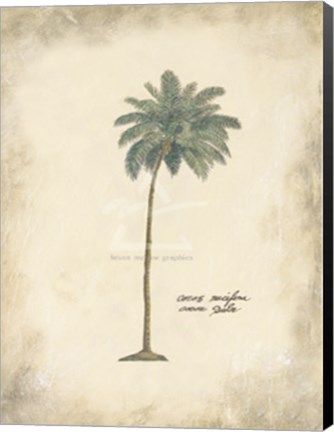 Framed Cocoa Palm Print