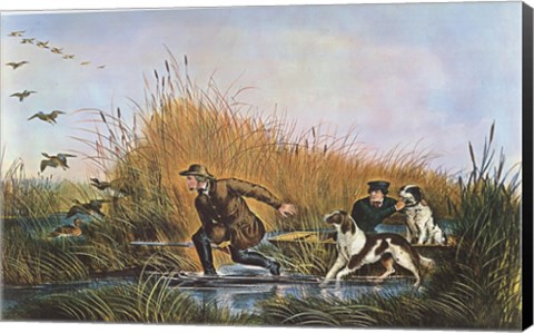 Framed Wild Duck Shooting Print