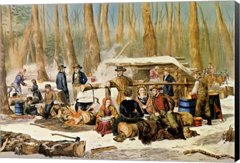 Framed American Forest Scenes Print