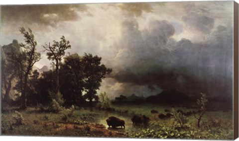 Framed Buffalo Trail Print