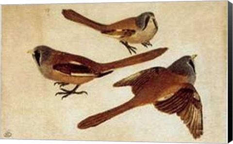 Framed Tre Ciniallegre Print