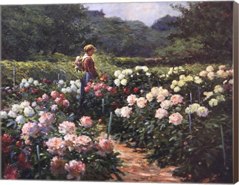 Framed Woman in a Garden of Peonies Print
