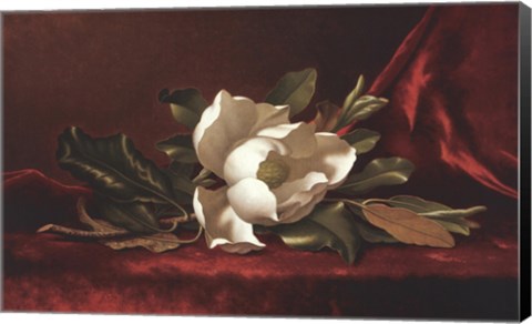 Framed Magnolia Flower Print