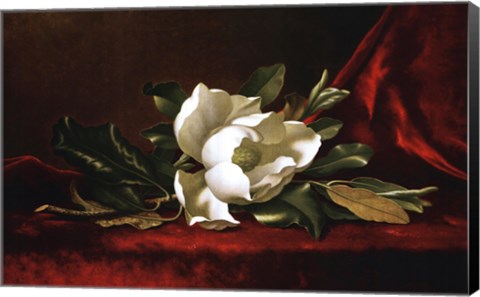 Framed Magnolia Flower Print